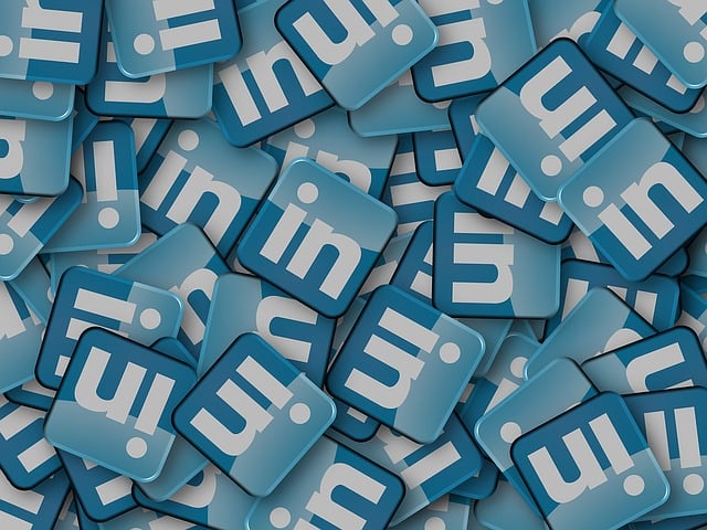 linkedin-1084446_640